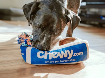 Pet Care